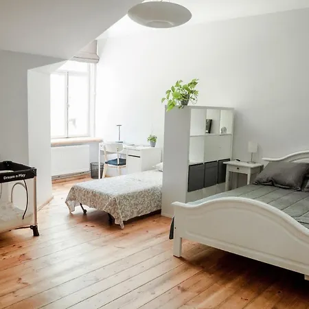 Castle Park Apartment With Sunset Veranda Cesis Exterior photo